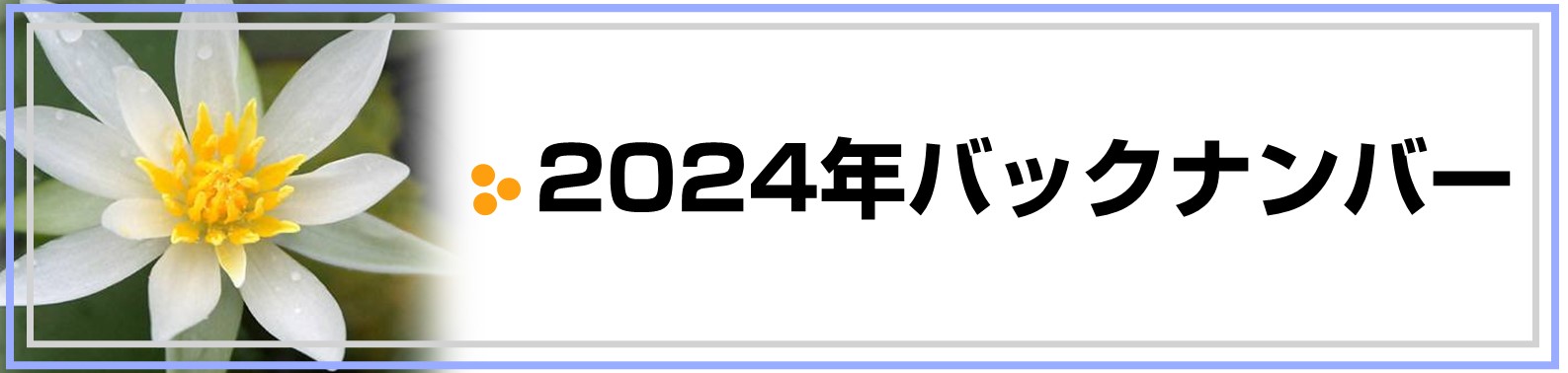 2024NobNio[