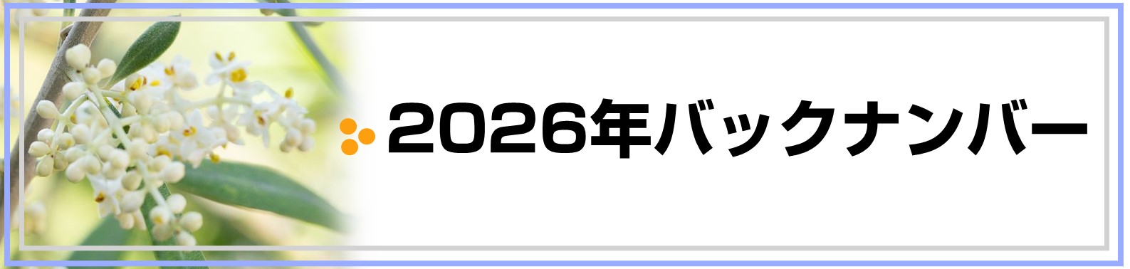 2026�N�o�b�N�i���o�[